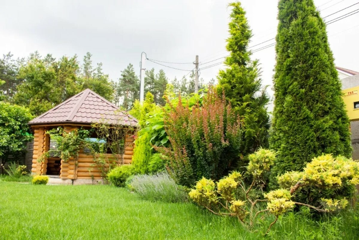 https://orel.tgv-stroy.ru/storage/app/uploads/public/637/ef4/fb3/637ef4fb3605f391429275.png